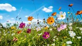 Fototapeta Kwiaty - Colorful spring flowers on a field under a blue sky. Generative AI