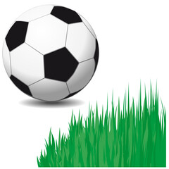 Wall Mural - Vector soccer ball. Isolated shiny soccer ball