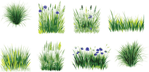 Set of Grass and Wildflower Vector