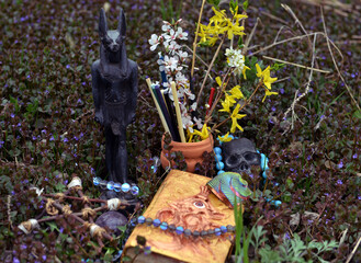 Wall Mural - Magic book of spells with Anubis god statue and flowers on ritual altar in the garden. Occult, esoteric and divination still life. Mystic outside background with vintage objects