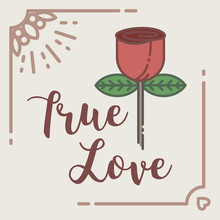 Digital Png Illustration Of True Love Text And Rose On Transparent Background