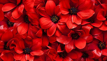 Red Flower Background. Generative Ai