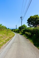 Wall Mural - 田舎の道