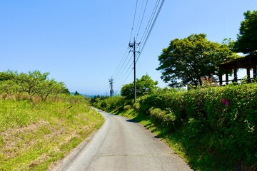 Wall Mural - 田舎の道