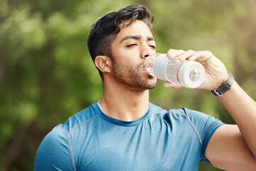 Poster - Fitness, man with in park, drinking water and hiking in nature for health and wellness during exercise. Drink, bottle and fit male on hike with trees for body workout, energy and training mindset.