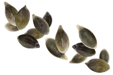 Wall Mural - Levitation of pumpkin seeds isolated on transparent background.