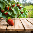 Selective focus, Wood table top on soft focus strawberry plant background. For montage product display. generative ai.