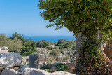 Fototapeta Desenie - A peaceful landscape of trees, rocks and nature illuminated by among the historical ruins creates an atmosphere of serene beauty. Turkeyi Mersin.