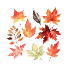 Beautiful Autumn Leaves Watercolor Set, Great Design For Any Purposes. Botanical Background.