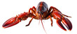 Lobster isolated on the transparent background PNG. AI generative.