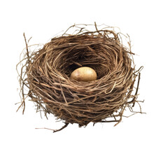 Nest With Egg Isolated On Transparent Background Cutout