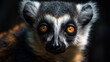 A close-up portrait of a Lemur Catta taken at a wild. Generative AI