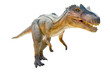 © nithat - Tyrannosaurus T-rex, dinosaur on white background with Clipping path.