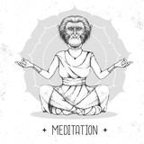 Fototapeta  - Hand drawing hipster animal monkey meditating in lotus position on mandala background. Vector illustration