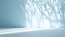 Minimalistic Abstract Gentle Light Blue Background For Product Presentation With Light And Intricate Shadow From Tree Branches On Wall