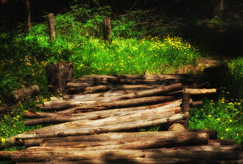 Wall Mural - A bridge made from the logs of fallen trees at Aqua-Terra Wilderness Area in Upstate NY, cross over a small stream and swampy area of the park.