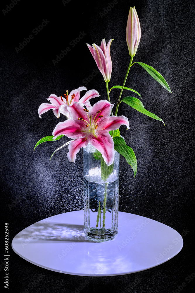 ガラスの花瓶に生けたピンク色の百合の花 水飛沫 の Stock フォト