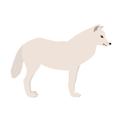 Wall Mural - Animal illustration. Arctic arctic wolf in a flat style. Isolated object on a white background. Vector 10 EPS