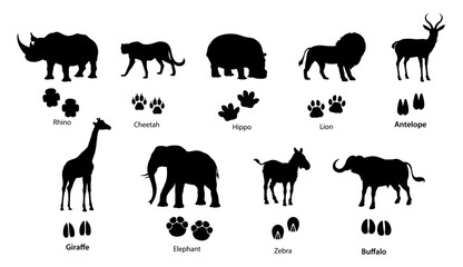 African animal silhouettes with footprints. Vector lion, elephant, rhino and cheetah, safari giraffe, zebra, hippo, buffalo and antelope with paw and hoof tracks. Isolated traces of savanna animals