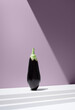 © ADDICTIVE STOCK - Black eggplant mounted on white surface against purple background