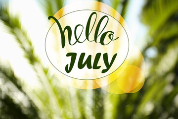 Wall Mural - Hello July. Blurred view of palm leaves on sunny day outdoors