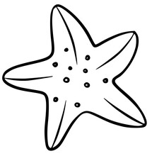 Sea Starfish Black Silhouette Vector Icon. Simple Star Fish Hand Drawn Contour Isolated On White Background. Black Marine Beach Graphic Element.