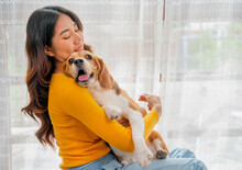 Close Up Young Asian Girl Hold And Hug Beagle Dog And Sit In Front Of Glass Door In Her House And She Look Happy To Play Fun Together.