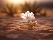 Blooming Desert Flower, Generative Ai