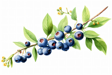 Sticker - Fresh Blueberry Fruits. Ai generative