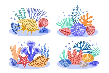 Wall Mural - Color doodles seashells and algae. Marine compositions, tropical conchas with ocean seaweeds, decorative corals and shells, vector set