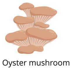 Sticker - Oyster mushroom cartoon icon. Autumn forest fungus