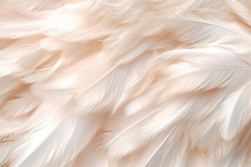 Poster - A delicate and ethereal feather background pattern texture, with translucent feathers overlapping each other,  Generative AI technology.