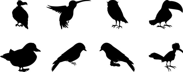 set of silhouettes of birds