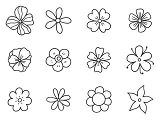 Wall Mural - flowers doodle set. floral elements in sketch style. hand drawn vector illustration isolated on whit