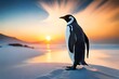 penguin at sunset