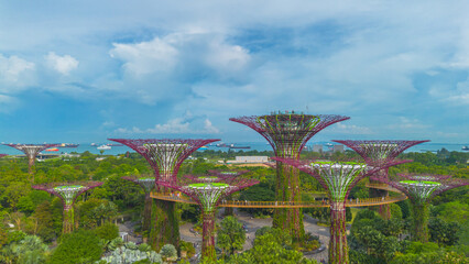 Wall Mural - Aerial view of landscape of Gardens by the Bay in Singapore. Botanical garden with artificial trees