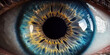 Leinwandbild Motiv Iris Fotografie Nahaufnahme Makroaufnahme einer schönen blauen Iris mit Einblick in die Pupille, ai generativ