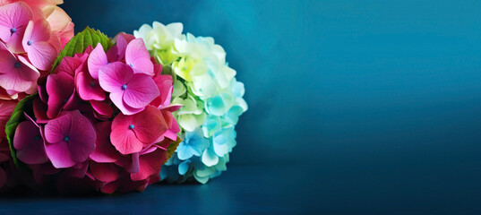 Wall Mural - Several colorful hydrangea flowers on a blue background. . Generative AI