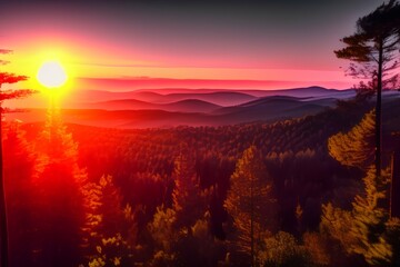  Look at the sunset from the top of the forest - generative ai