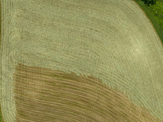 Wall Mural - Aerial view of rural countryside farmland. Texture of grass and crops growing in summer.