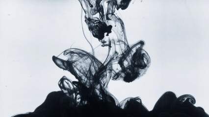 Wall Mural - ink transition splatter blot spreading  turbulent moving abstract painting animation background new cool nice motion dynamic beautiful