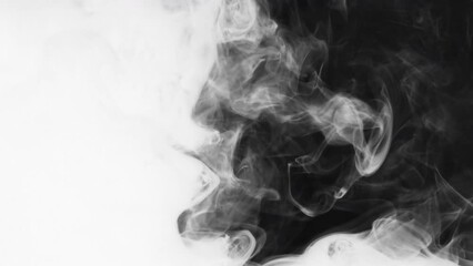abstract background reveal horror paranormal background artistic grunge artistic flow splatter texture overlay spread inkblot effect grimy creepy intro black and white
