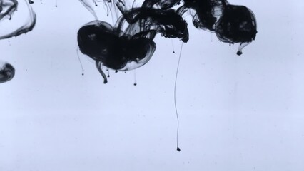 Wall Mural - Smoke texture ink swirl magic wave intro overlay flow on dark abstract background