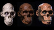 Our hominin ancestors inevitably encountered early species image Ai generated art