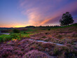 Sunrise over the heather of Rockford Common in the New Forest National Park, UK