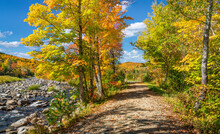 Autumn In The Carrabassett Valley - Maine - Narrow Gauge Pathway
