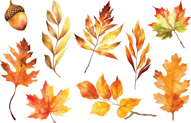 Autumn season banner. Greeting card with inscription Hello, Autumn and hand drawn vector watercolor illustration fall leaves.  isolated on white background.
