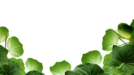 Wall Mural - serene lotus leaves as a frame border, isolated with negative space for layouts