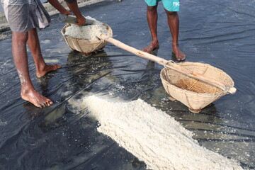 worker with raw salt on farm