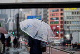 Fototapeta  - 雨のストリートを傘をさして歩く女性の後ろ姿